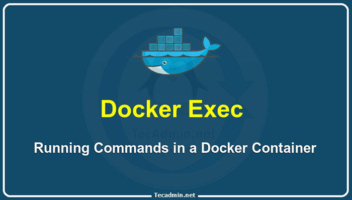 Docker exec user