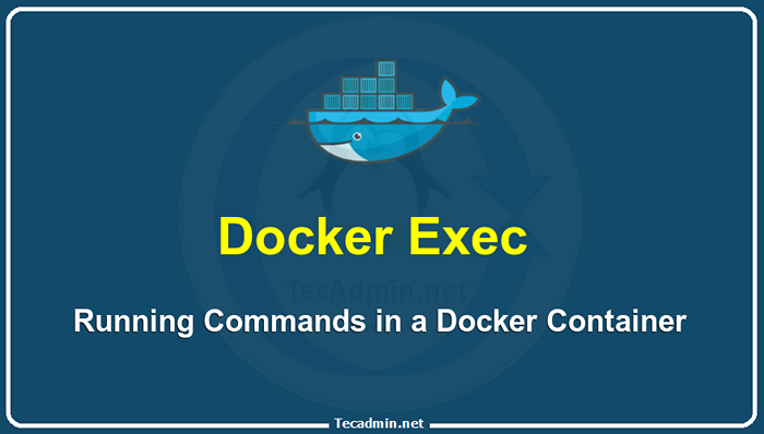 Sudo docker exec. Sudo docker exec