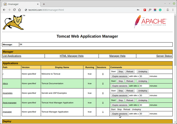 Tomcat web. Tomcat web