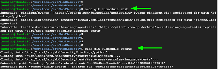 Git clone depth 1. Git clone depth 1
