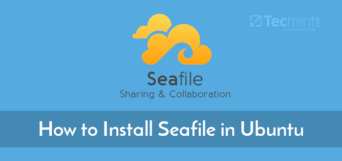 Seafile server. Seafile.