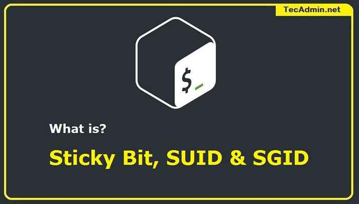 Sticky bit
